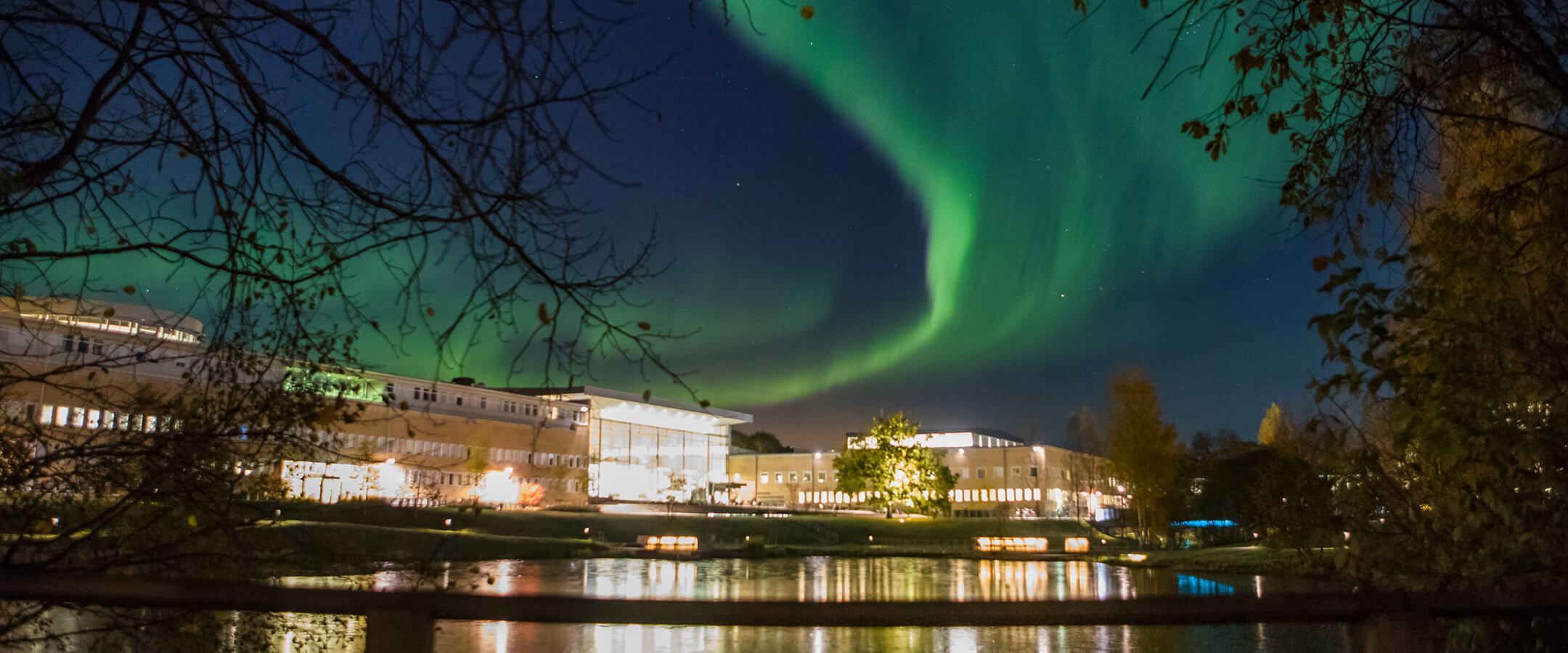 Externs Mid-Term Presentation